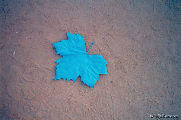 08d_031113_skys_india-gate.jpg