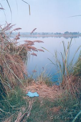 09v_031114_skys_yamuna-nhw24.jpg